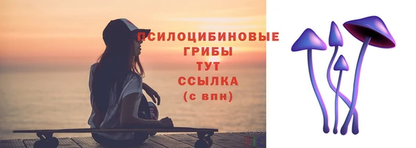 ECSTASY Билибино