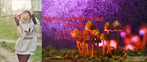 дмт Бикин