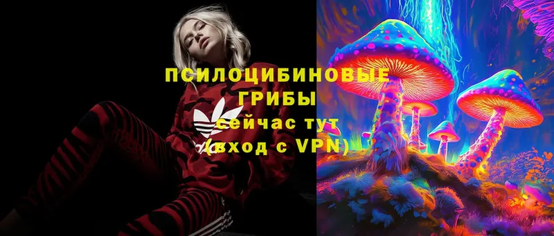 blacksprut рабочий сайт  Азнакаево  Галлюциногенные грибы MAGIC MUSHROOMS 