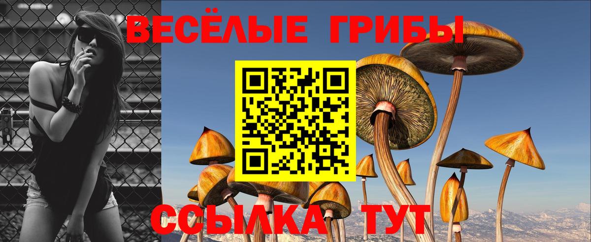 Азнакаево  Галлюциногенные грибы GOLDEN TEACHER  купить наркоту  Псилоцибиновые грибы Psilocybine cubensis  Вход с VPN 