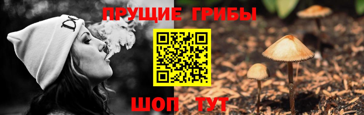 Псилоцибиновые грибы Psilocybe Азнакаево